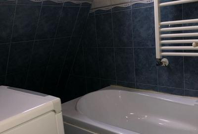 2 Camere Semidecomandat Centrala Proprie Drumul Gazarului - 11