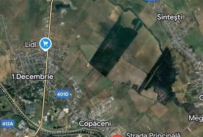 Teren Construcții intravilan de 1430 mp, în Copăceni - 3