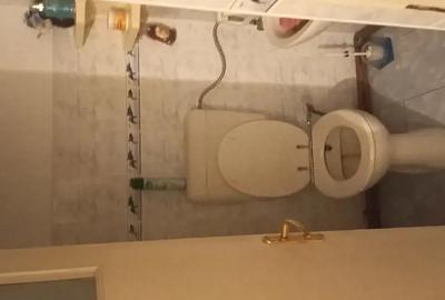 Casa la curte cu teren generos - 7