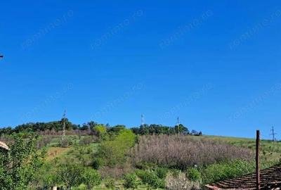 Cota de 1/2 din teren extravilan, comuna Rogova, Jud Mehedinti CP2549956 - 3