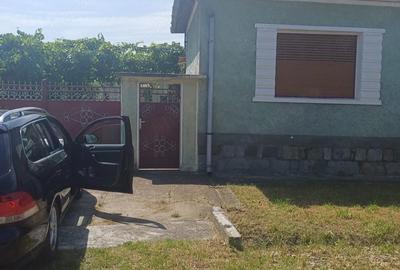 Casă cu Teren 2000 Mp în Saca - 3