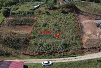 Oportunitate de Investiție: Teren Intravilan Construibil în Zona Mices - 2