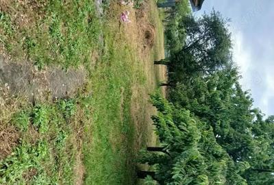 Casă cu 3 camere în Ghighiu - 5