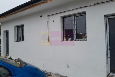 Casă cu 2 camere în Roșu - 18