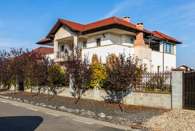 Refugiul Perfect de Lângă Timișoara - 1