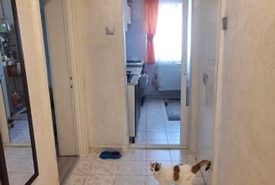 Apartament 3 camere - bloc fara risc - Podu Ros - 7