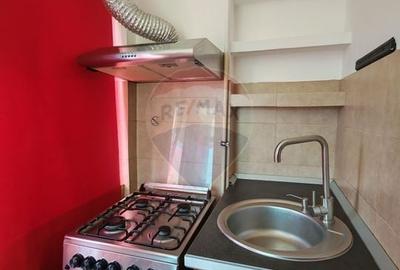 Apartament cu 2 camere decomandat, mobilat în Brazda lui Novac - 7