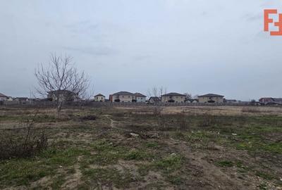 Spațiu comercial, în Moșnița Nouă - 4