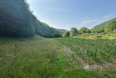 Spațiu comercial, în Leșnic - 6