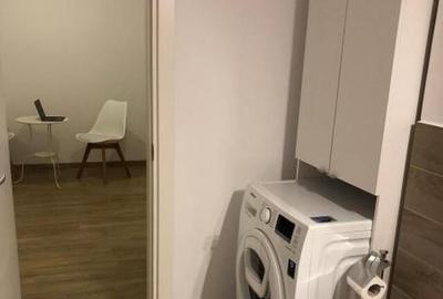 Brancoveanu tineretului the park studio - 8