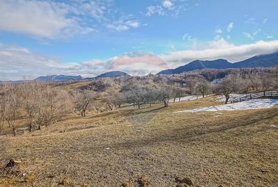 Teren Construcții intravilan de 2495 mp, în Sohodol - 5