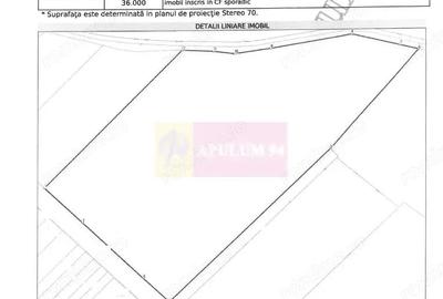 Teren de 131935 mp, în Est - 8