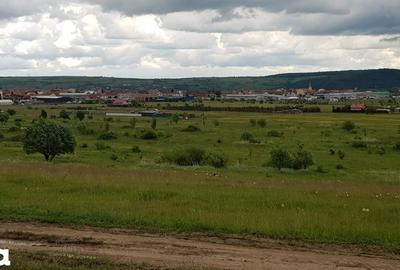 Teren de 1000 mp, în Central