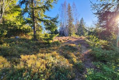 Spațiu comercial, în Albac - 2