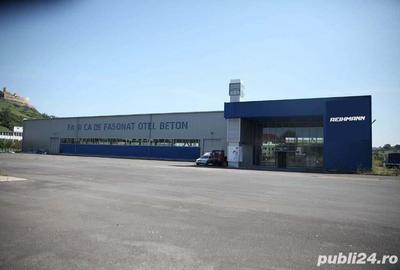 Se vinde hala metalica 2200 mp .100eur mp - 3