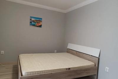 Garsonieră semidecomandată, mobilată în Nicolina - 3