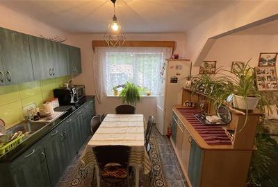 Casă individuală cu 4 camere cu Teren 2500 Mp în Ulieș - 15