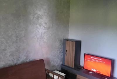 Casă cu 2 camere cu Teren 903 Mp în Mărtinești - 4