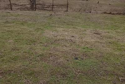 Casă cu 2 camere în Central - 1