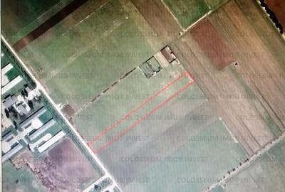 Teren de 11500 mp, în Bartolomeu - 5