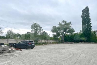 Teren Construcții intravilan de 62725 mp, în Craiovița Nouă - 2