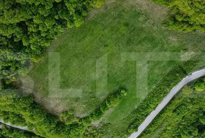 Teren superb, in mijlocul naturii, 18.360 mp, la Carji?i - 2