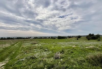 Teren intravilan Lumina, lac si canalul Dunare-Marea Neagra pentru investie - 6