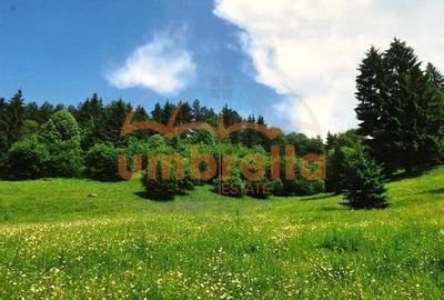 Teren Construcții intravilan de 34201 mp, în Vărșag - 13