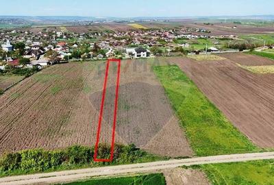 Teren Construcții intravilan de 2316 mp, în Bălțați - 2