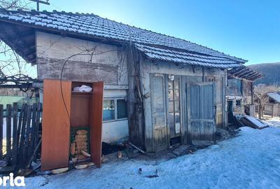 Casă cu 3 camere cu Teren 3877 Mp în Valea Danului - 7