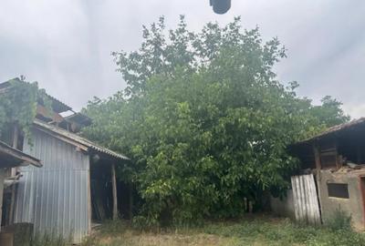 Casă cu 7 camere cu Teren 2023 Mp în Coșoveni - 7