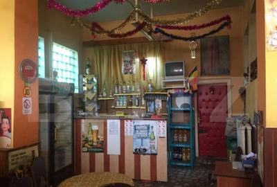 Oportunitate de investitie! Casa cu chiriasi, individuala 17 - 1