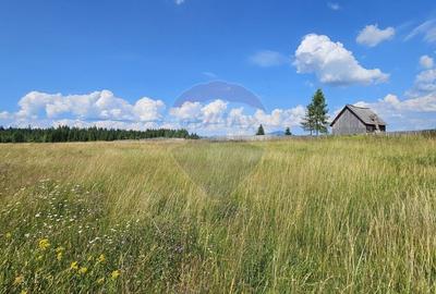 Teren partial intravilan 30,930 mp Poiana Stampei-DN E58, Suceava - 10