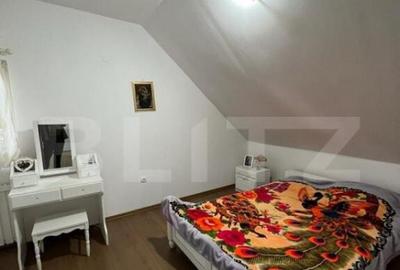 2 CASE, 300mp/700mp, teren 30 ari, zona strada Botizului - 20