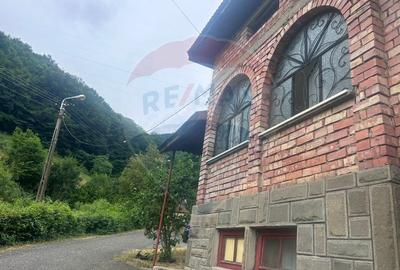 Casa solida cu dublu front stradal de vanzare-cartierul Ferneziu - 21