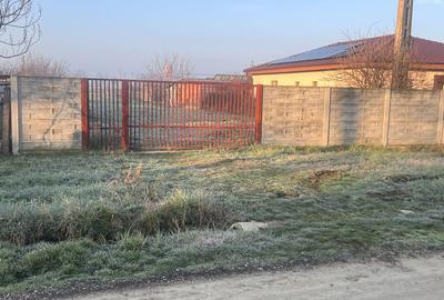 Teren de 934 mp, în Peciu Nou - 2