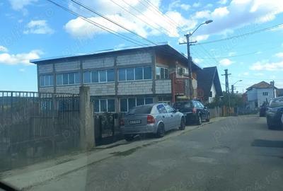 Vand Casa 250 m Bascov strada Pleasa - 2