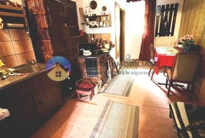 CASA  comuna ALEXANDRU cel BUN - VIISOARA - 5