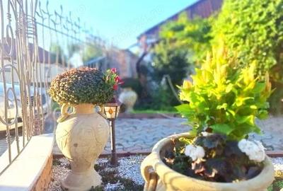 Casă cu 3 camere cu Teren 400 Mp în Central - 7