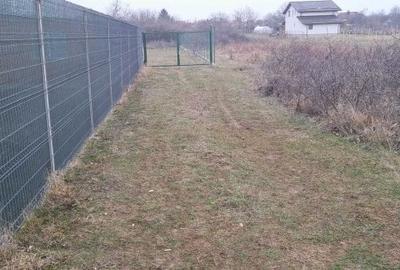 Teren Construcții de 922 mp, în Clinceni - 3