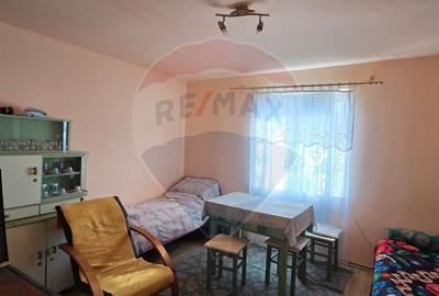 Casa  cu livada 2880 mp in Adea la 4km de Chisineu-Cris