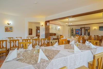 Hotel/Pensiune, de 2,950 mp, în Pănicel - 10