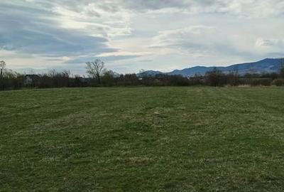 Teren de 3200 mp, în Vicovu de Sus - 4