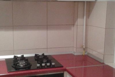 Apartament 1 camera, decomandat, mobilat, rond / piata Alexandru - 6