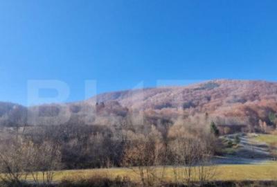 Teren extravilan - Sita Buzaului -6800 mp posibilitate trece - 8