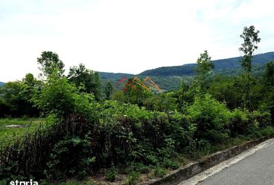 Teren de 2600 mp, în Provița de Jos - 4