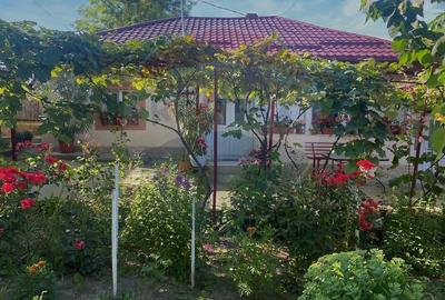 Casa cu teren de vanzare in Rugionasa iasi - 1