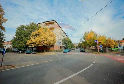Apartament decomandat cu 3 camere, 70 mp, de vanzare - Zona Cantemir - 24