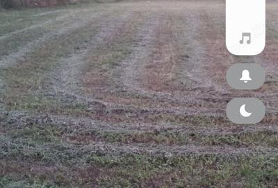 Spațiu comercial, în Cărpiniș - 34