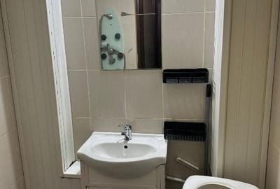 Apartament cu 2 camere decomandat, mobilat în Trivale - 5